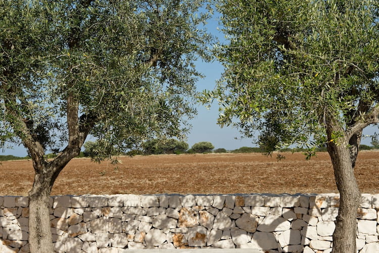 Grand Hotel Masseria Santa Lucia