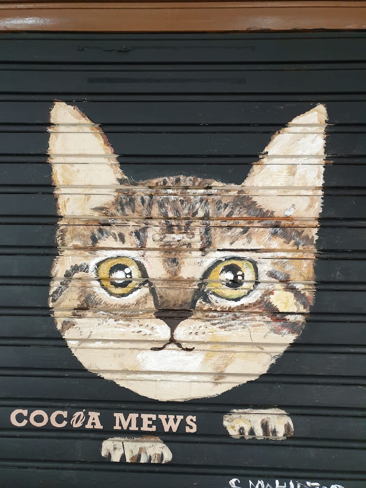 Cocoa Mews Cafe & Homestay - Hostel