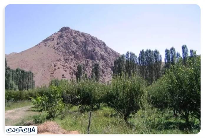 فیروزکوه کجاست